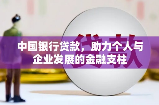 田林中国银行贷款，助力个人与企业发展的金融支柱