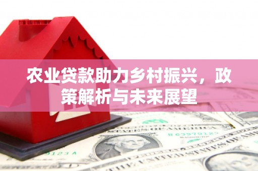 田林农业贷款助力乡村振兴，政策解析与未来展望