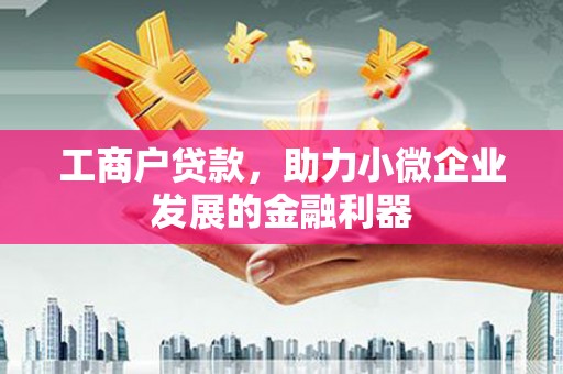 田林工商户贷款，助力小微企业发展的金融利器
