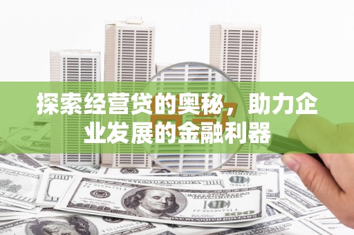 田林探索经营贷的奥秘，助力企业发展的金融利器
