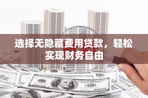 田林选择无隐藏费用贷款，轻松实现财务自由