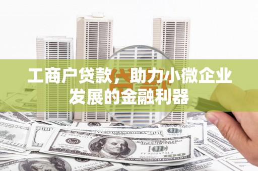 田林工商户贷款，助力小微企业发展的金融利器