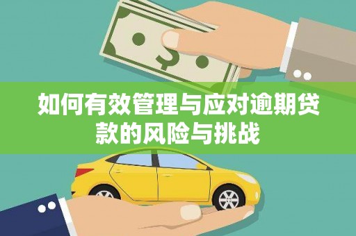 田林如何有效管理与应对逾期贷款的风险与挑战