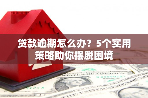 田林贷款逾期怎么办？5个实用策略助你摆脱困境