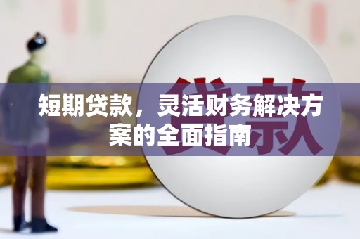 田林短期贷款，灵活财务解决方案的全面指南