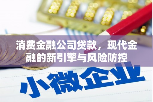 田林消费金融公司贷款，现代金融的新引擎与风险防控