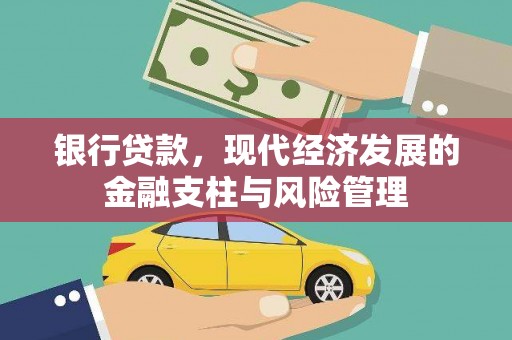 田林银行贷款，现代经济发展的金融支柱与风险管理