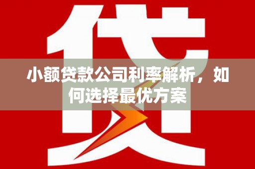 田林小额贷款公司利率解析，如何选择最优方案