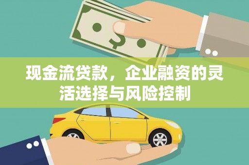 田林现金流贷款，企业融资的灵活选择与风险控制