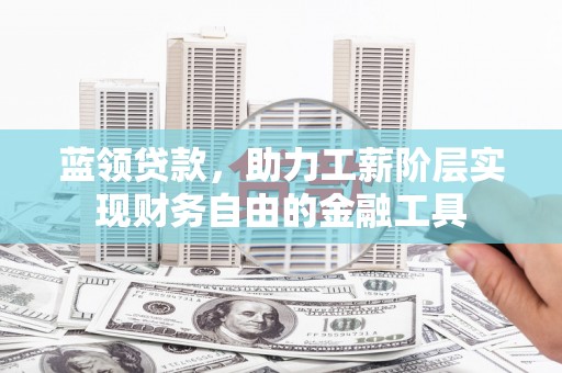 田林蓝领贷款，助力工薪阶层实现财务自由的金融工具