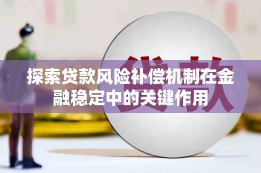 田林探索贷款风险补偿机制在金融稳定中的关键作用