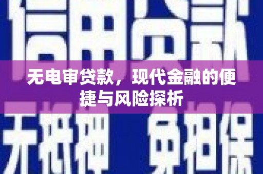 田林无电审贷款，现代金融的便捷与风险探析