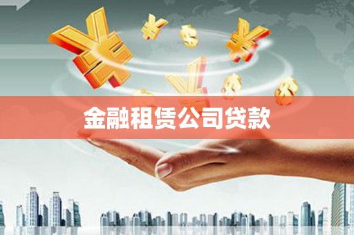田林金融租赁公司贷款