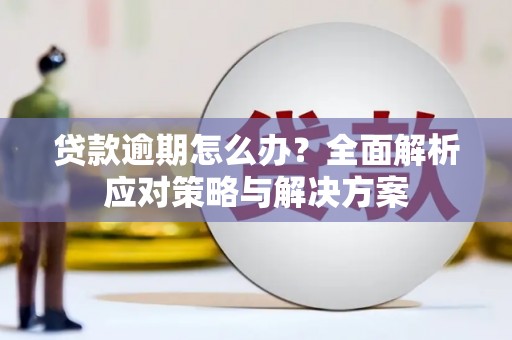 田林贷款逾期怎么办？全面解析应对策略与解决方案