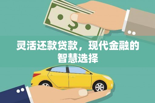 田林灵活还款贷款，现代金融的智慧选择