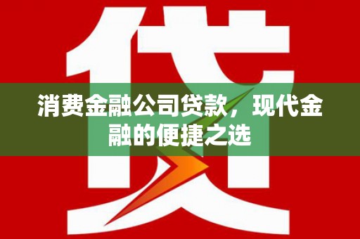 田林消费金融公司贷款，现代金融的便捷之选