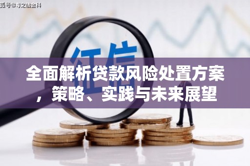 田林全面解析贷款风险处置方案，策略、实践与未来展望