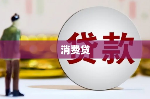 田林消费贷