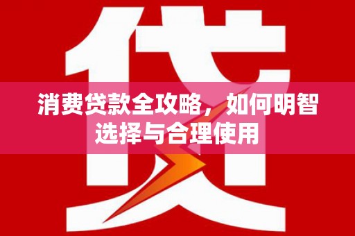 田林消费贷款全攻略，如何明智选择与合理使用