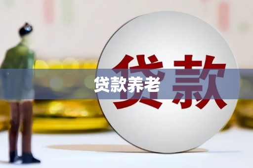 田林贷款养老