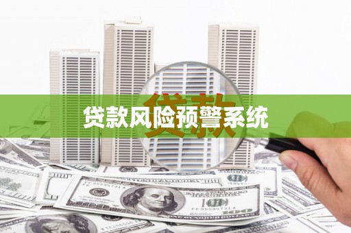 田林贷款风险预警系统