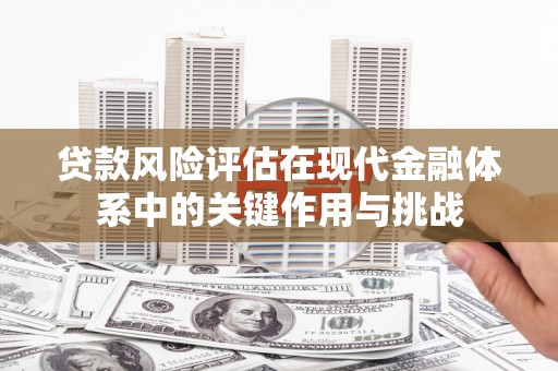田林贷款风险评估在现代金融体系中的关键作用与挑战
