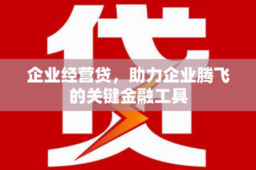 田林企业经营贷，助力企业腾飞的关键金融工具