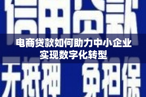 田林电商贷款如何助力中小企业实现数字化转型