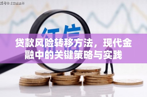 田林贷款风险转移方法，现代金融中的关键策略与实践