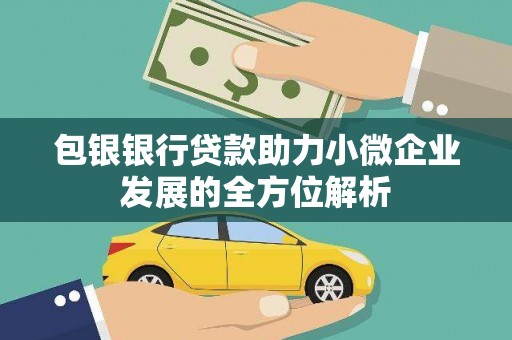田林包银银行贷款助力小微企业发展的全方位解析