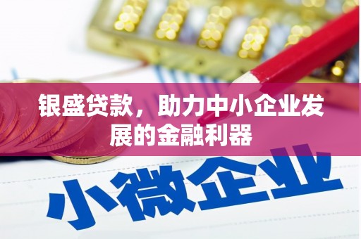 田林银盛贷款，助力中小企业发展的金融利器