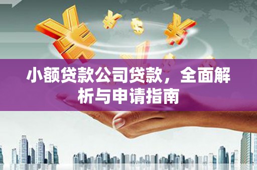 田林小额贷款公司贷款，全面解析与申请指南