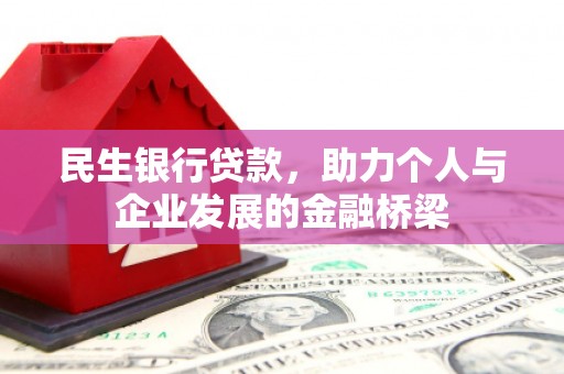 田林民生银行贷款，助力个人与企业发展的金融桥梁