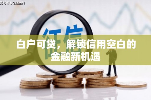 田林白户可贷，解锁信用空白的金融新机遇