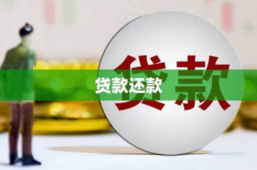 田林贷款还款
