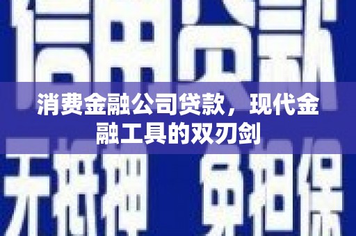 田林消费金融公司贷款，现代金融工具的双刃剑