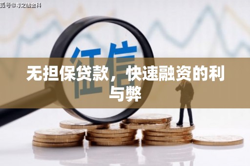 田林无担保贷款，快速融资的利与弊
