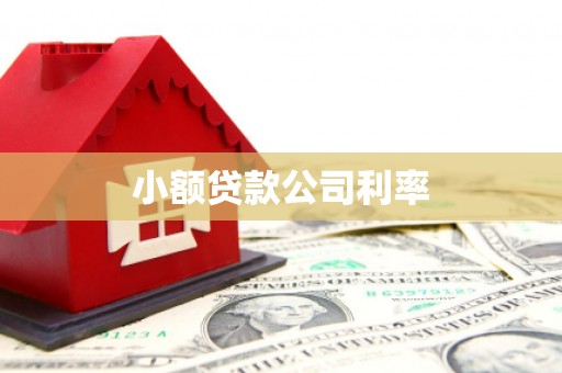 田林小额贷款公司利率