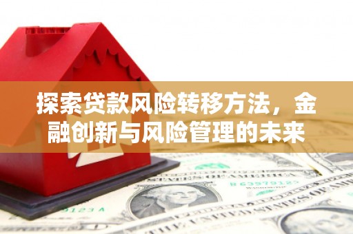 田林探索贷款风险转移方法，金融创新与风险管理的未来