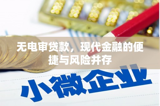 田林无电审贷款，现代金融的便捷与风险并存