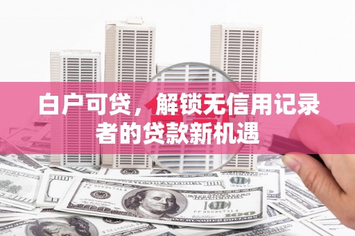 田林白户可贷，解锁无信用记录者的贷款新机遇