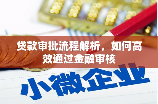 田林贷款审批流程解析，如何高效通过金融审核