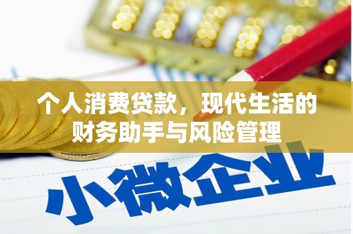 田林个人消费贷款，现代生活的财务助手与风险管理