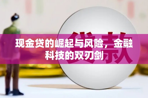 田林现金贷的崛起与风险，金融科技的双刃剑