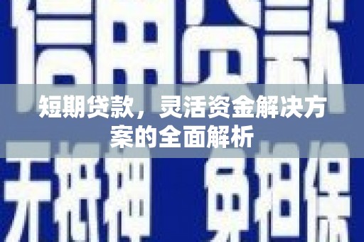 田林短期贷款，灵活资金解决方案的全面解析