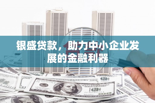 田林银盛贷款，助力中小企业发展的金融利器