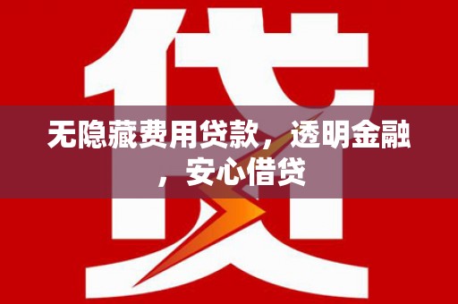 田林无隐藏费用贷款，透明金融，安心借贷