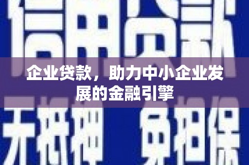 田林企业贷款，助力中小企业发展的金融引擎