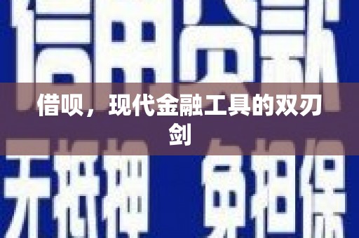 田林借呗，现代金融工具的双刃剑
