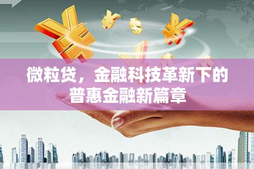 田林微粒贷，金融科技革新下的普惠金融新篇章